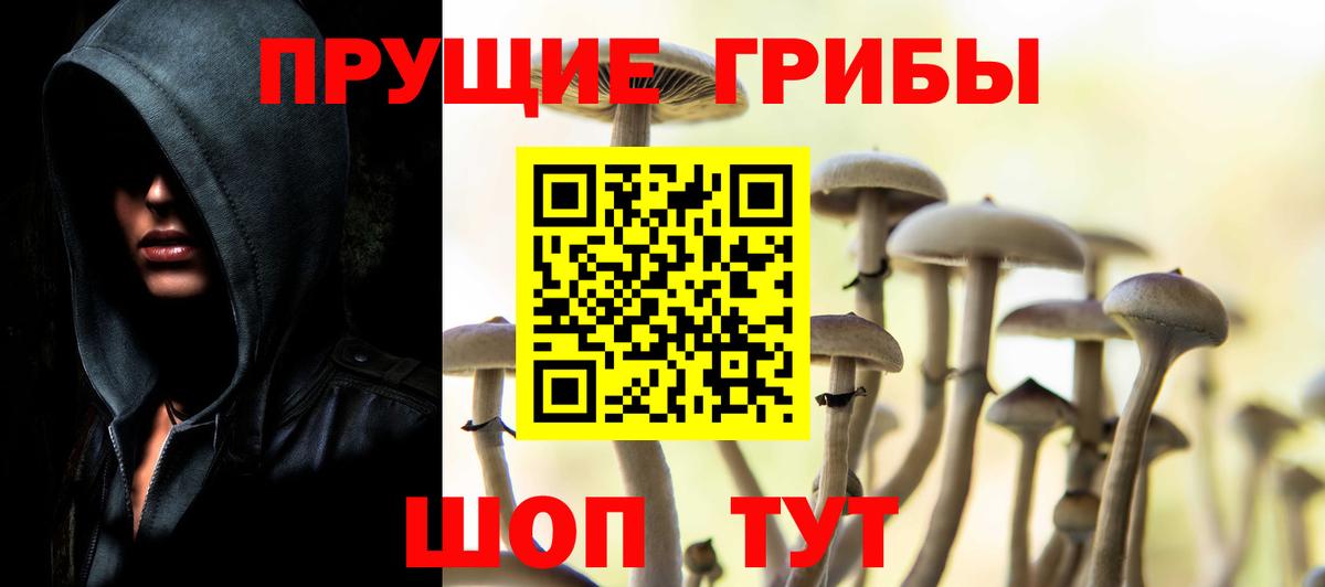 Лабытнанги  Псилоцибиновые грибы Psilocybine cubensis  Галлюциногенные грибы Cubensis  Вход с VPN 